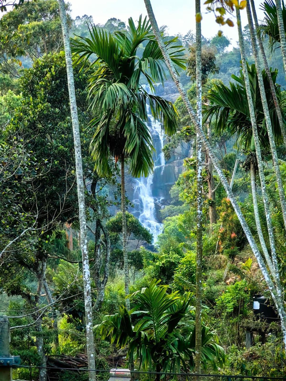 Cozy Homestay Waterfall Road Ella Exteriér fotografie