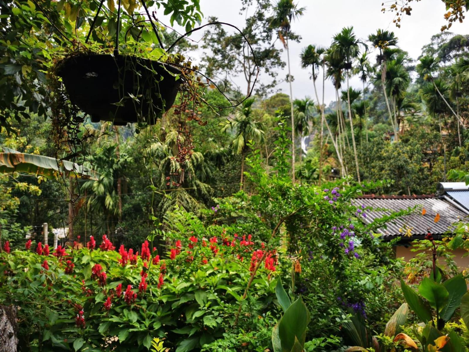 Cozy Homestay Waterfall Road Ella Exteriér fotografie