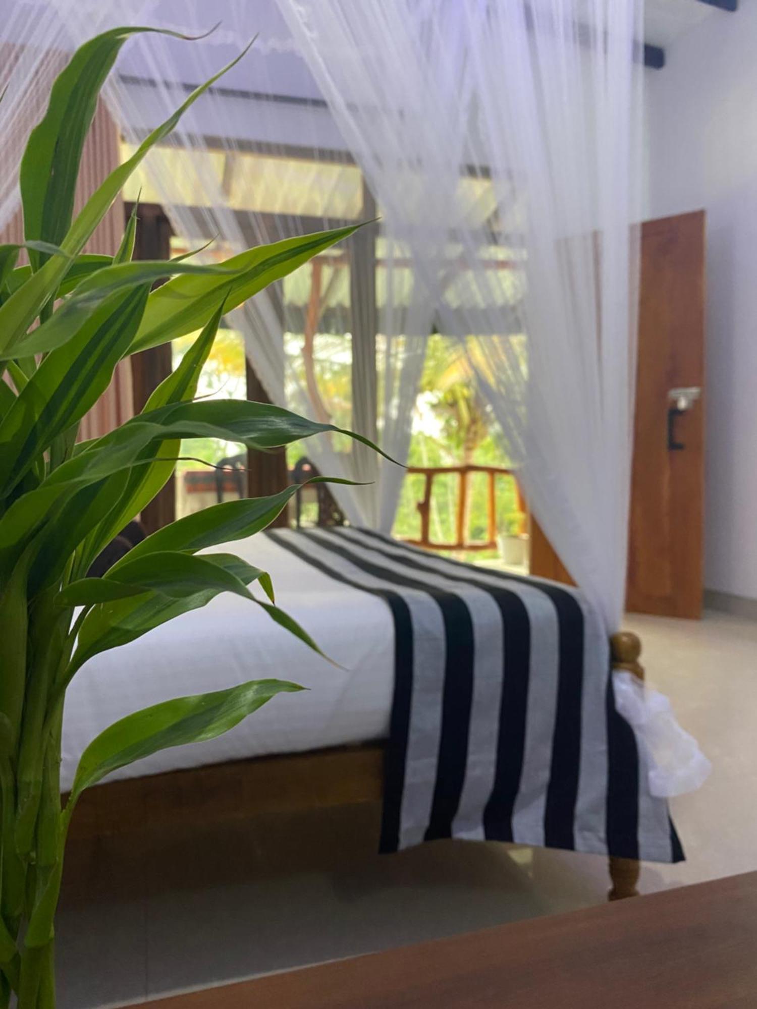 Cozy Homestay Waterfall Road Ella Exteriér fotografie